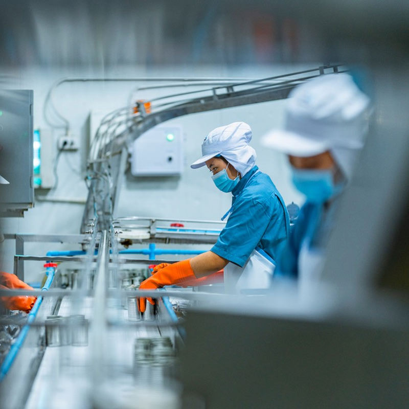 NBS Dairy: Your Trusted Partner in Advanced Dairy Solutions